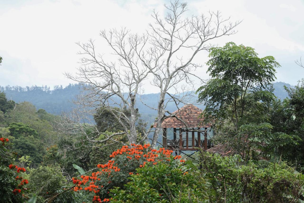 Spice Forest Plantation Homestay, Thekkady Vandiperiyar ภายนอก รูปภาพ